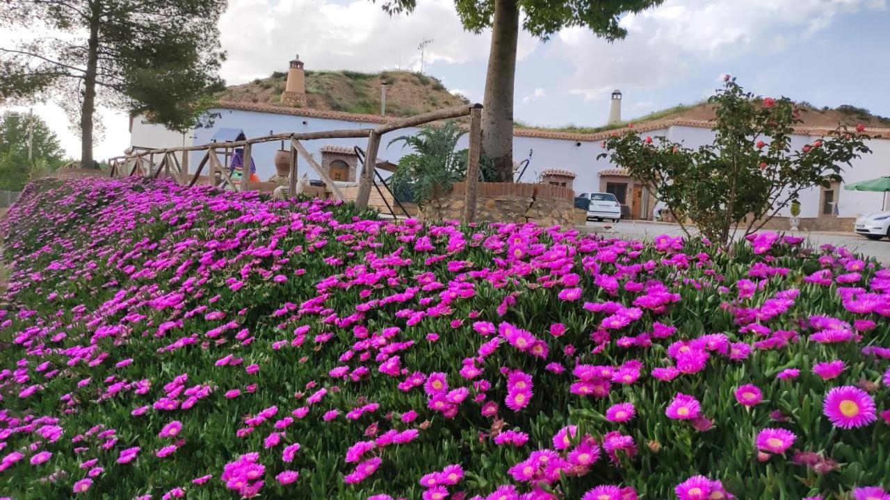 瓜迪克斯Cuevas Cortijo Gachas别墅 外观 照片