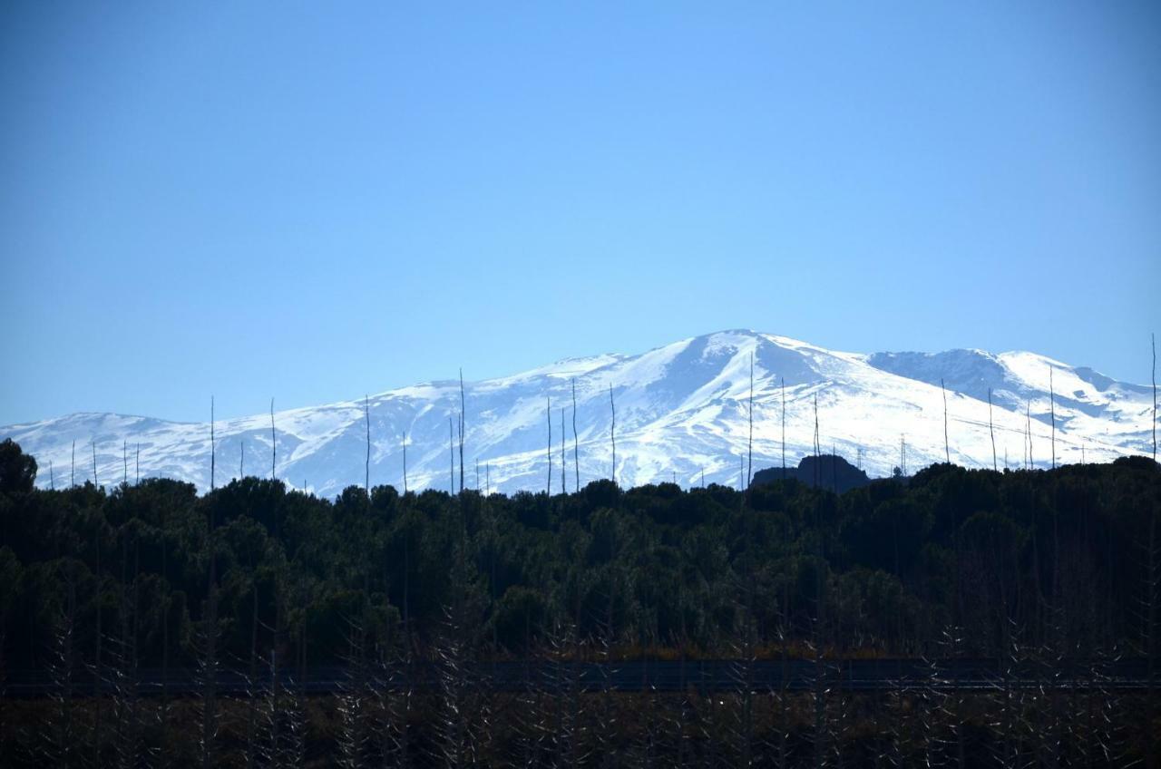 瓜迪克斯Cuevas Cortijo Gachas别墅 外观 照片